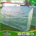 Quality assured modern design cherry planting greenhouse film